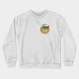 Nesting Painted Bunting Dot Crewneck Sweatshirt